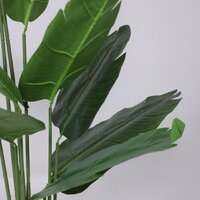 AksHome Banana 120 см Image #4