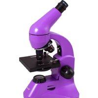 Levenhuk Rainbow 50L Plus (аметист) 69052