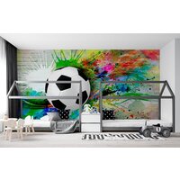 ФабрикаФресок Футбольный мяч с красками 735270 (500x270) Image #3