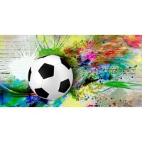 ФабрикаФресок Футбольный мяч с красками 735270 (500x270)