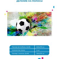 ФабрикаФресок Футбольный мяч с красками 735270 (500x270) Image #6