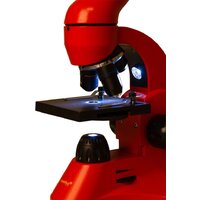 Levenhuk Rainbow 50L (апельсин) 69050 Image #10