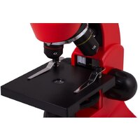 Levenhuk Rainbow 50L (апельсин) 69050 Image #8