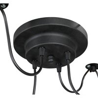 Vitaluce V4289-1/4PL Image #4