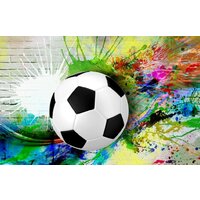 ФабрикаФресок Футбольный мяч с красками 734270 (400x270)