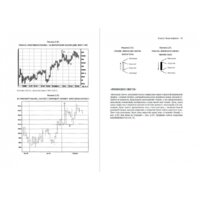 Альпина Диджитал. Технический анализ. Полный курс (Швагер Д.) Image #3