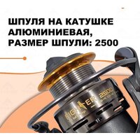 Ryobi Fighter 2500 Image #8