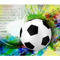 ФабрикаФресок Футбольный мяч с красками 733270 (300x270)