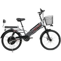 SameBike E-ALFA NEW SB-E-ALFA500-48/10 (серый)