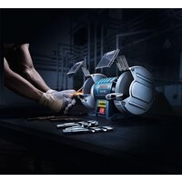 Bosch GBG 60-20 Professional Image #2