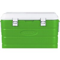 Арктика 2000-60 (зеленый)