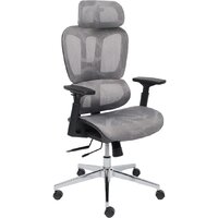 AksHome Expert (сетка, серый)