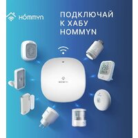 Hommyn WS-20-Z Image #7