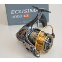 Ryobi Ecusima Pro 4000 LT Image #8