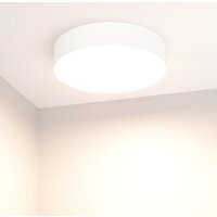 Arlight SP-RONDO-R250-30W 022232(2) Image #2