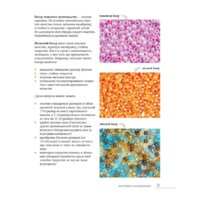 Эксмо. Бисер. Самое полное и понятное пошаговое руководство для начинающих Image #21