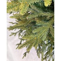 GreenTerra Этуаль 2.1 м Image #5