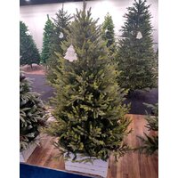 GreenTerra Этуаль 2.1 м Image #9