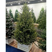 GreenTerra Этуаль 2.1 м Image #8