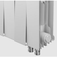 Royal Thermo PianoForte 200 Bianco Traffico VDR (12 секций) Image #3