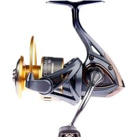 Ryobi Ecusima Pro 3000 LT Image #1