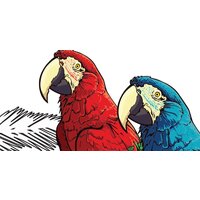 ФабрикаФресок Контрастные фламинго и попугаи 285270 (500x270) Image #2