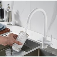 Shevanik S128C Image #2