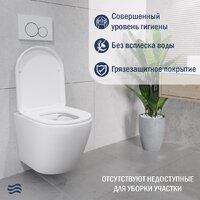 Lauter Vortex 2110830 с кнопкой 219704E (круглая, черный) Image #5