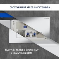 Lauter 21901001 с кнопкой 219701HD (хром) Image #6