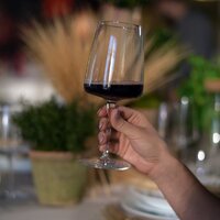 Bormioli Rocco Нексо 3.65748 Image #2