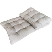 Angellini Премьер 1с121 120x186