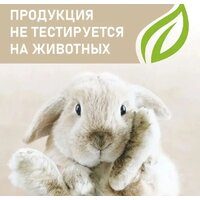 Результат.Про Черничный чизкейк (5 кг) Image #5