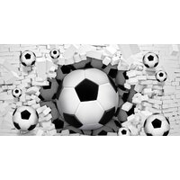 ФабрикаФресок Футбольные мячи из стены 725270 (500x270) Image #1
