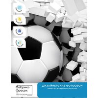 ФабрикаФресок Футбольные мячи из стены 725270 (500x270) Image #6