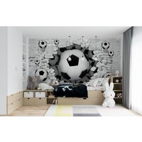ФабрикаФресок Футбольные мячи из стены 725270 (500x270) Image #4