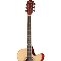 Foix FFG-2040C-NA Image #2