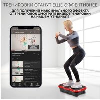 Planta VP-03 Image #13