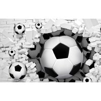 ФабрикаФресок Футбольные мячи из стены 724270 (400x270)