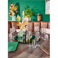 Chef&Sommelier Symetrie V1483 (6 шт) Image #4