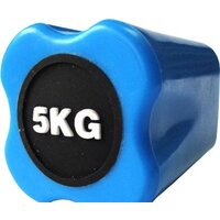 Original FitTools FT-BDB-5 5 кг Image #3