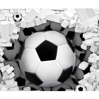 ФабрикаФресок Футбольные мячи из стены 723270 (300x270) Image #1