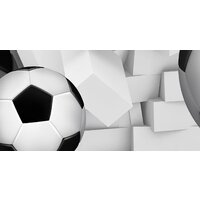 ФабрикаФресок Футбольные мячи из стены 723270 (300x270) Image #4