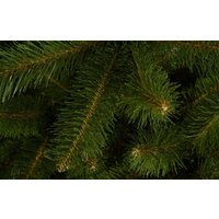 GreenTerra Бовари 1.8 м Image #5