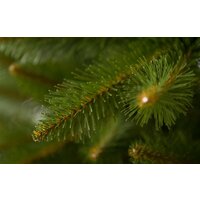 GreenTerra Бовари 1.8 м Image #4