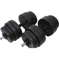 Atlas Sport 2х20.5 кг