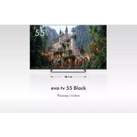 Evo TV 55 Black TD0051754RU Image #4