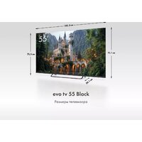 Evo TV 55 Black TD0051754RU Image #5