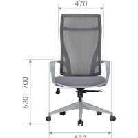 CHAIRMAN CH577 (красный пластик/красный) Image #4