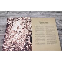 АСТ. Бемби (Зальтен Ф., Лакомб Б.) Image #3