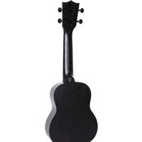 Flight NUS310 Blackbird Image #3